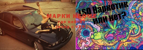 МДПВ Алзамай